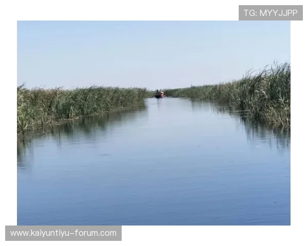 锁定2026世界杯开云高水盘口让球规则首发前瞻爆冷预警